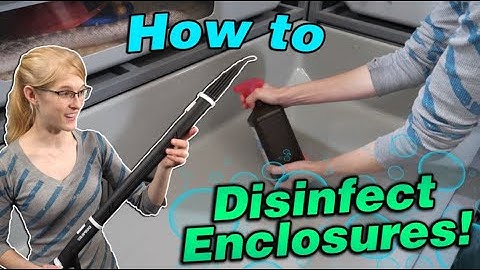 How to Disinfect Your Reptile