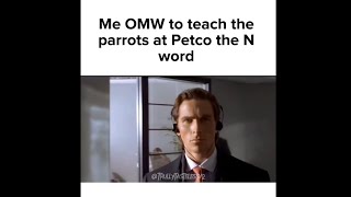 Memes compilation v5