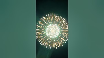 AWESOME 8" #FIREWORKS shell turned me into Santa 🎅