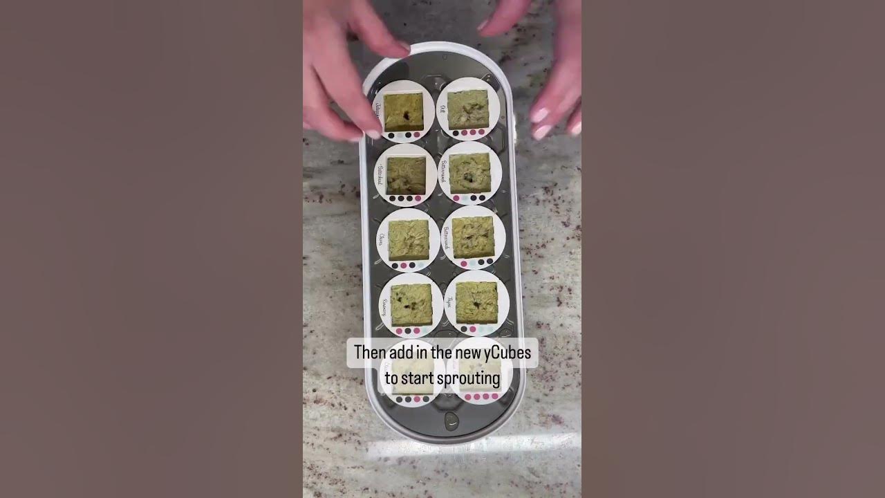 how-to-add-new-plants-to-your-gardyn-hydroponics-youtube