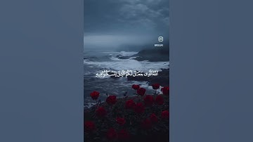 ماتيسر من سورة غافر #قران_كريم #لايك #ياسر_الدوسري