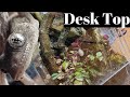 Mini Terrarium On A Budget