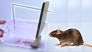 How to make a Mouse Trap - Best mouse trap  🔴 NEW