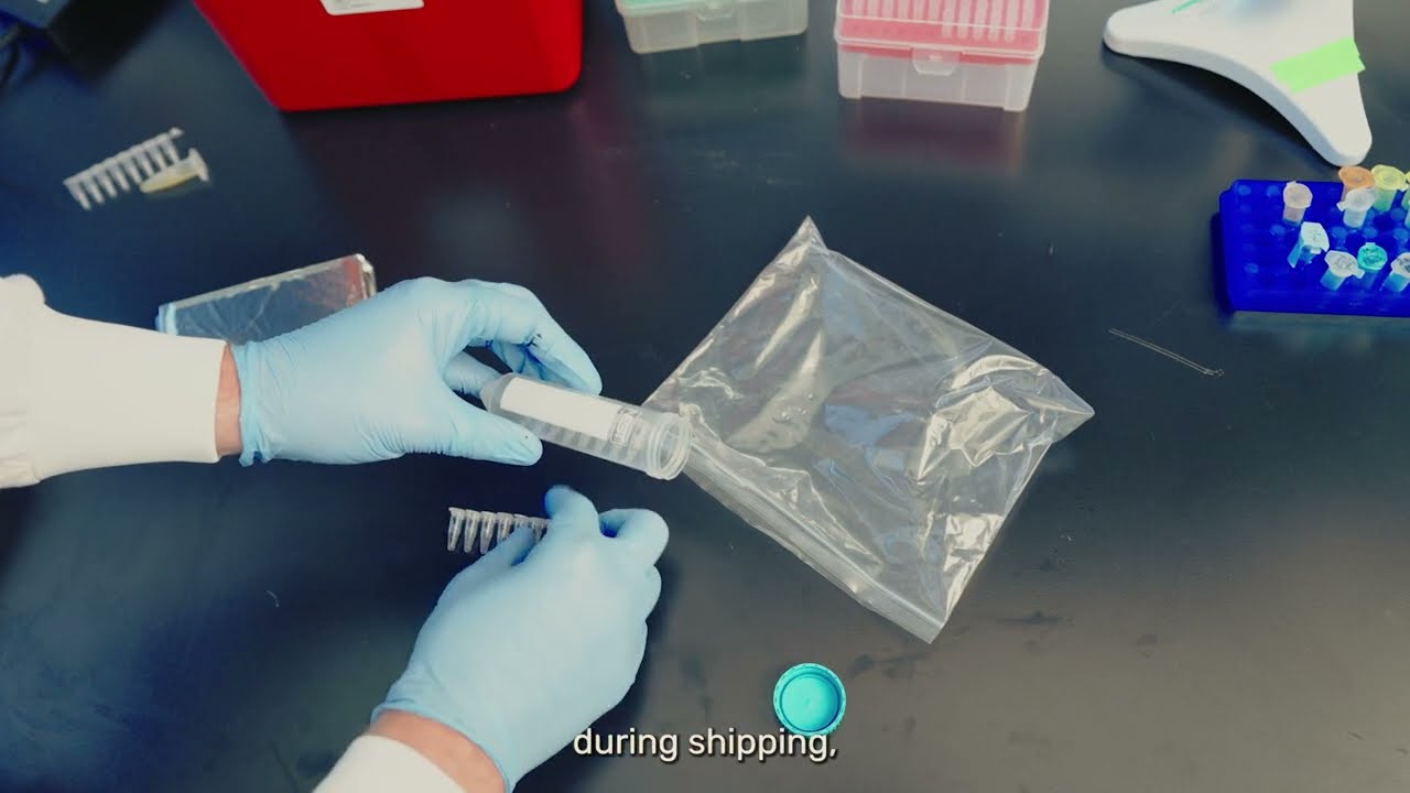 How to Sequence Whole Plasmids | Prep with Plasmidsaurus | Plasmidsaurus Sequencing as a Service