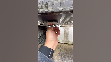 Could YOU 🫵🏼 find this ‘micro cache’ in Chicago?! (I would consider this SMALL - NOT MICRO) 👀🤣