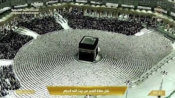 تلاوة جميلة بهدوئها للشيخ #عبدالله_الجهني لسورتي السجدة والإنسان | فجر ٢٤ ربيع الأول ١٤٤٦ هـ