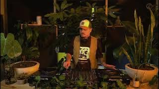 Nemec | Jungle Show x MOSH