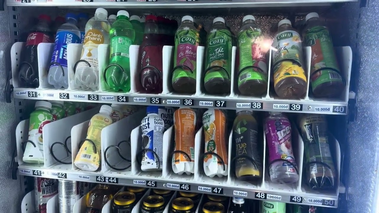 Nay em đụng được bà mèo cam rồi cô chú 