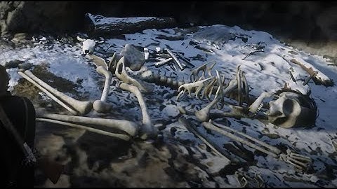 Massive skeleton found on Mount Shann