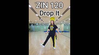 Drop It  Sherdon1zone   Zin 120   Electronic Fusion  Zin Jay zumba dropit zin120