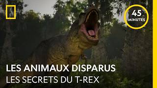 Les Animaux Disparus Les Secrets Du T-Rex Episode Complet
