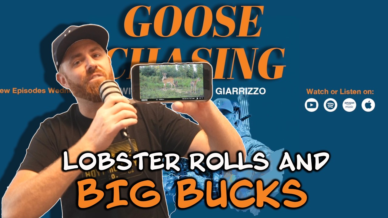 Lobster Rolls and BIG Bucks!