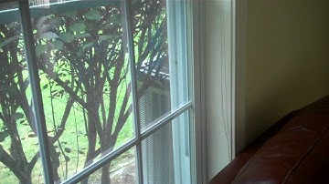 Compressor Startup Noise