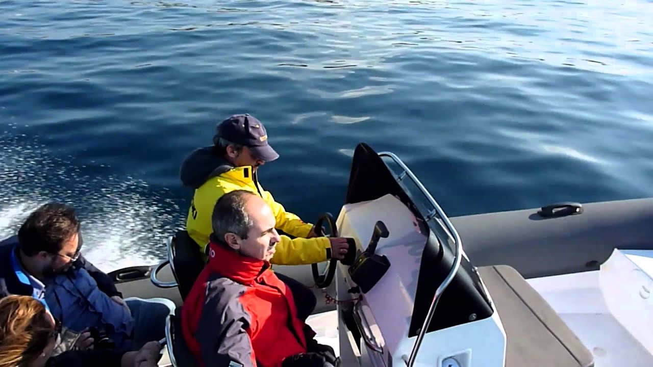 RIB  MARIN  636  evo