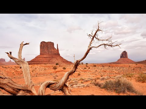 Videó: Távolság Las Vegas és a közeli nemzeti parkok között