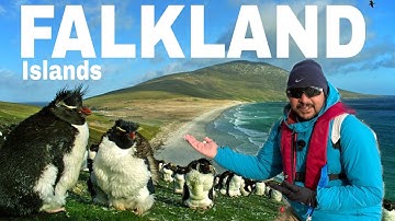 Unexplored World : FALKLAND ISLANDS 🇫🇰,  On the Way to  Antarctica