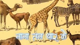 यनय ह 84 लख और गतय ह 4 भजन