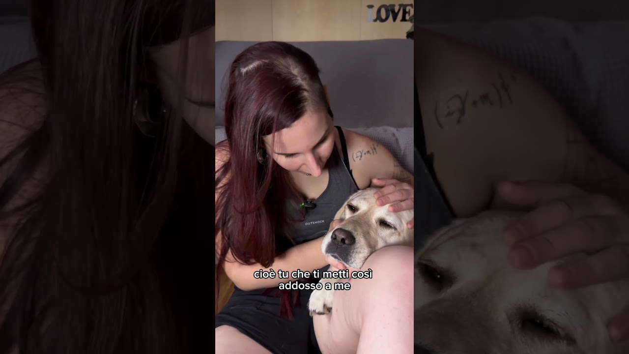 Al mio Cane Guida: che ne sai che mi piacciono i cagnolini? 😂