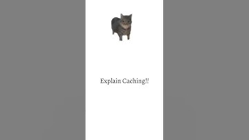 Why you need to understand caching for your tech interview