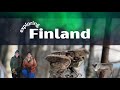 Finland | Indie camper | Folklore