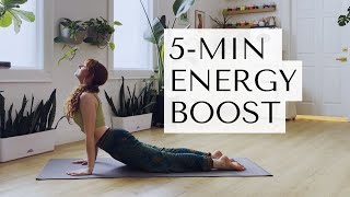 5-Min Sun Salutation Yoga ✨ENERGY BOOST✨