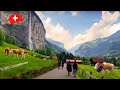  most beautiful places in switzerland sisikon lauterbrunnen relaxing walk 4k