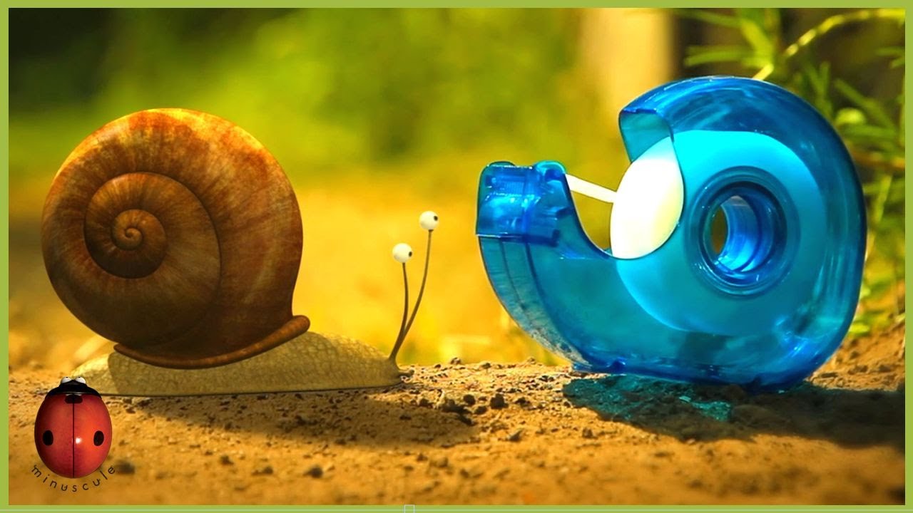 The Vegetable Garden | Minuscule 🍃 50' Compilation