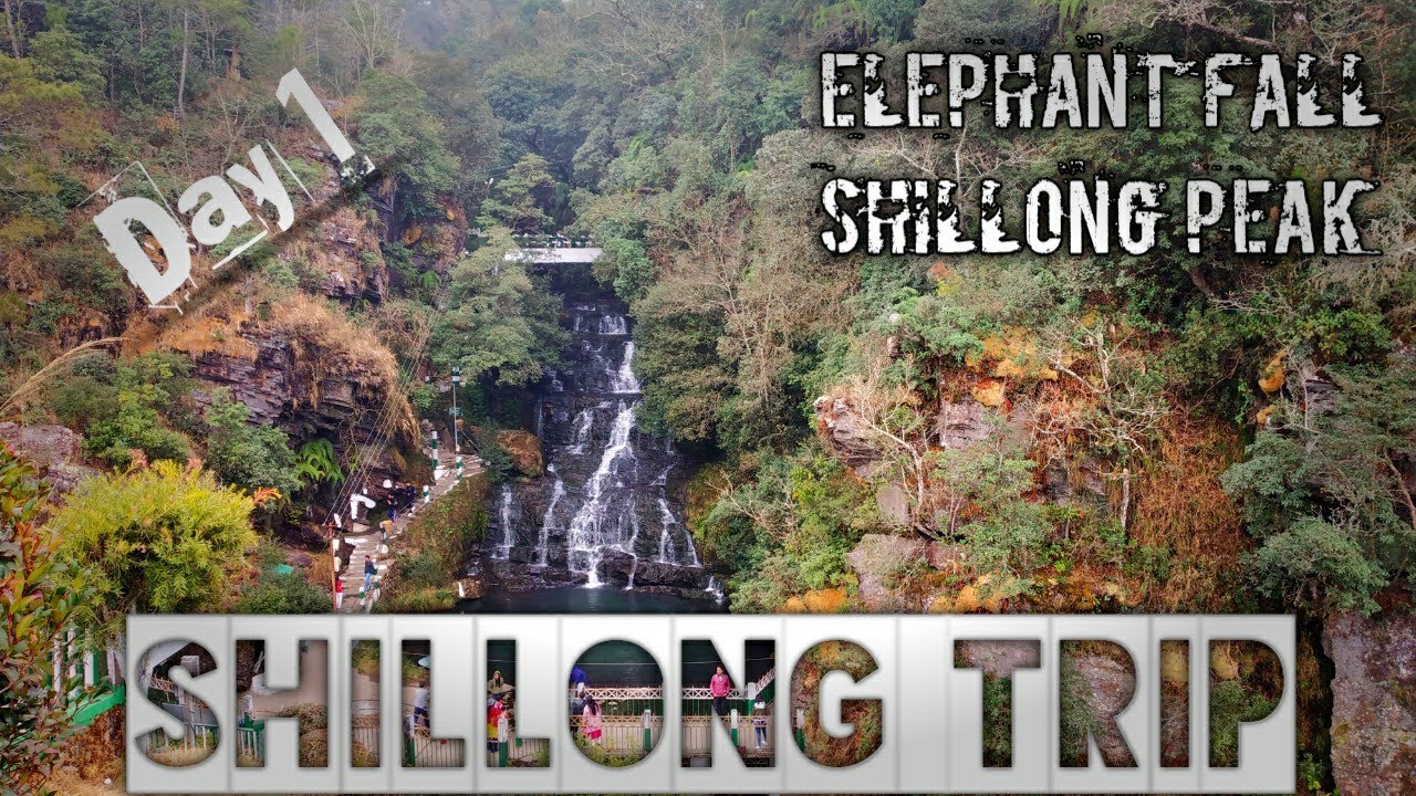 shillong trip cost