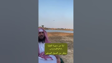 دحيم الحماد ١٤٤٧ه آية من سورة البقرة