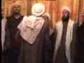 شيوخ شوايا