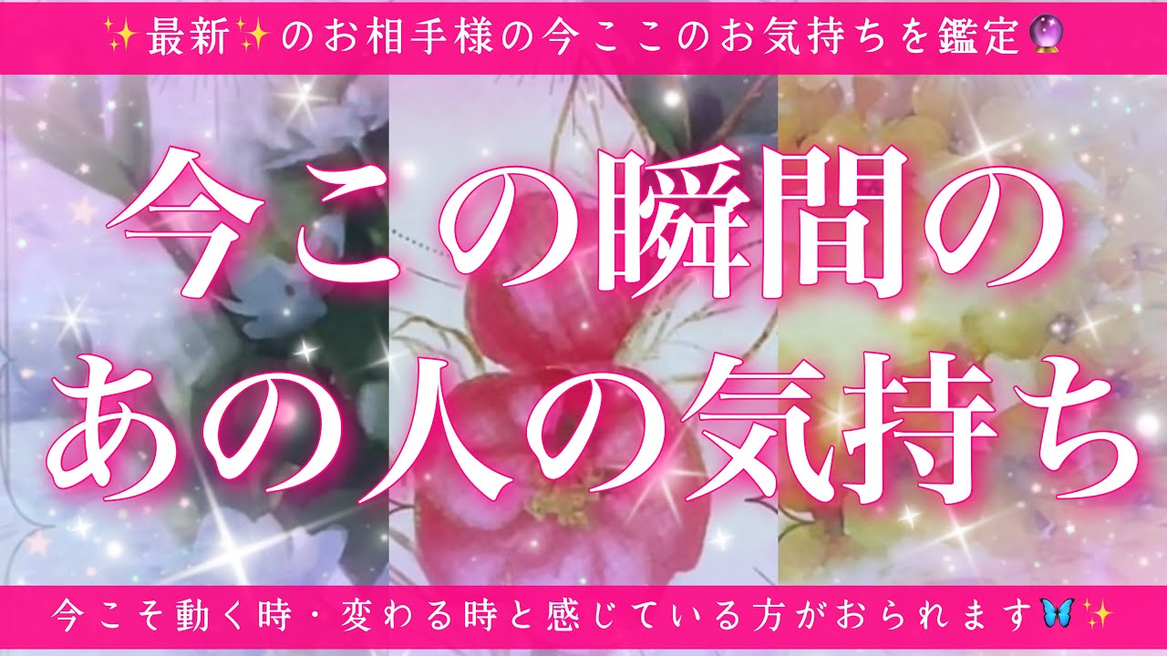 【恋愛💖】今この瞬間のあの人のあなた様へのお気持ち🔮🦋ルノルマンカードとタロットカードの併せ読みでズバリ鑑定します✨
