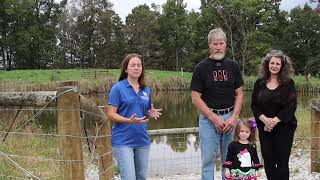 Around the Farm: Pregnancy Checking Beef Cattle