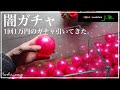 【闇ガチャ】新年早々1回1万円のガチャ行ってきました/AQUA Revelation J.B./アクアリウム/aquarium/vlog/#27