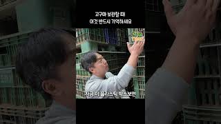 고구마 보관할때 이것 반드시 기억하세요