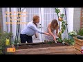 Grow Pumpkins in Small Space Vertically! Shirley Bovshow