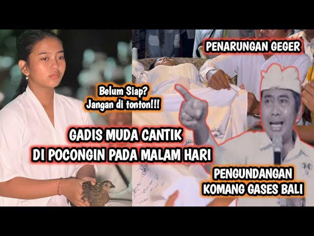 WATANGAN GADIS CANTIK || PENGUNDANGAN GASES BALI CALONARANG PENARUNGAN class=