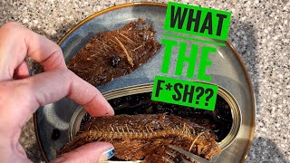 Episode 3: FRIED DACE! 🐟😱 Another can I’ve been avoiding. 