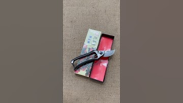 Cắt cành Hanasatuki Japan 0376628645 @dungcubonsaihaidu #dungcubonsai #kéocắtcành #hàngnhậtbãi