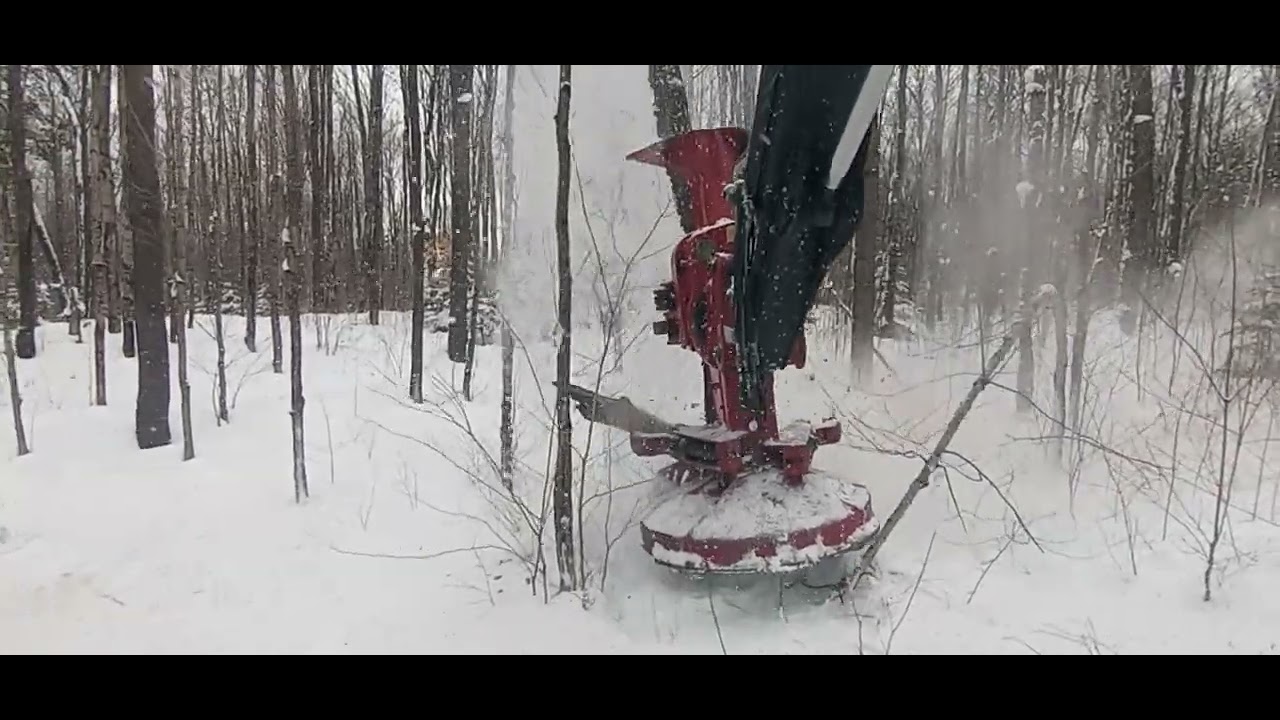 Logging in Deep Snow with the 745 Timber-Pro.