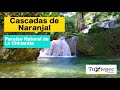 Video de Naranjal