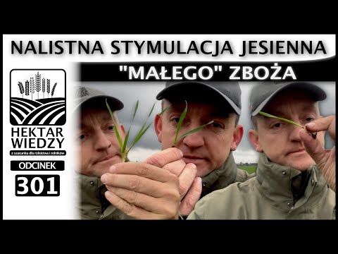 AUTUMN FOLIAR STIMULATION OF "SMALL" CEREALS. | EPISODE 301