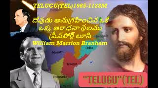 TELUGU(TEL)1965-1128M దేవుడు అనుగ్రహించిన ఒకే ఒక్క ఆరాధనా స్థలముష్రీవ్‍పోర్ట్ లూసి William Marrion B