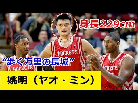 【バスケ】身長229cm！“歩く万里の長城”と称された中国の巨人 姚明（ヤオ・ミン）のプレイ動画集！【NBA】【センター】