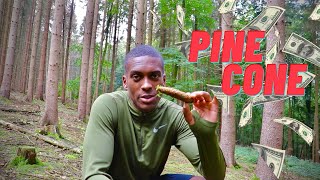 How to make money with PINE CONES ?