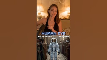 AI watermarks: why they don’t work