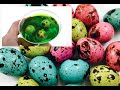 DIY How To Make &#39;Colors Birds Egg Ball&#39;-Learn colors with play doh