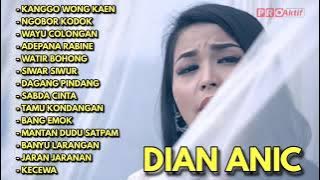 DIAN ANIC KANGGO WONG KAEN FULL ALBUM TERBARU 2022.