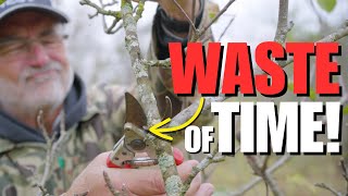 STOP wasting your TIME growing FRUIT TREES, Do THIS instead! by Stefan Sobkowiak - The Permaculture Orchard 354,020 views 6 months ago 10 minutes, 5 seconds