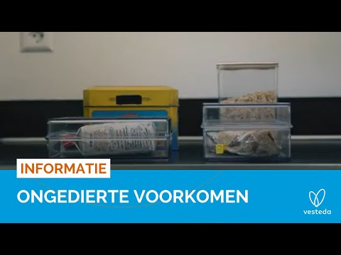 ONGEDIERTE VOORKOMEN - INFORMATIEVIDEO