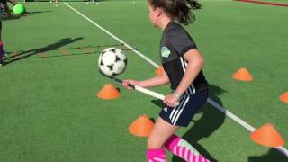 Skillz Hockeysupport - Balvaardigheid